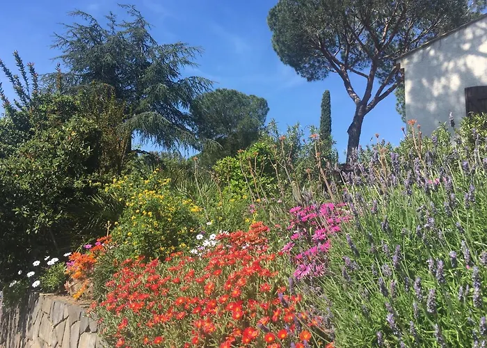 Bed & Breakfast Naturiste Paulana Agde